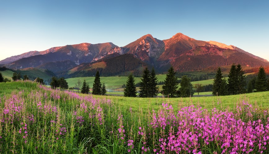 nízké Tatry